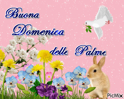Buona Domenica delle Palme