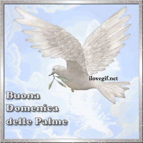 Buona Domenica delle Palme