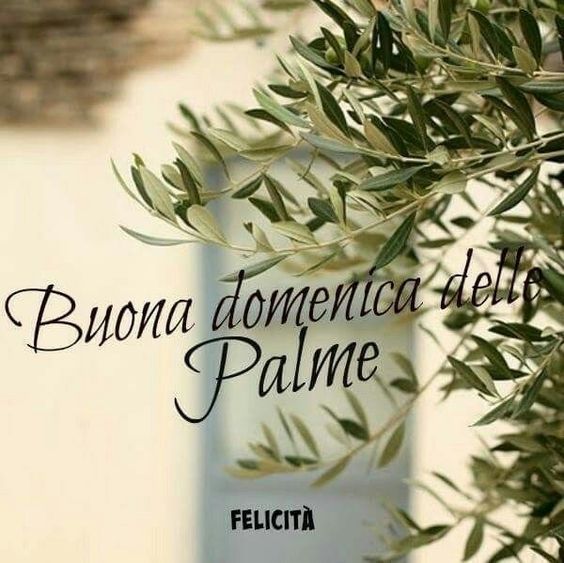 Buona Domenica delle Palme