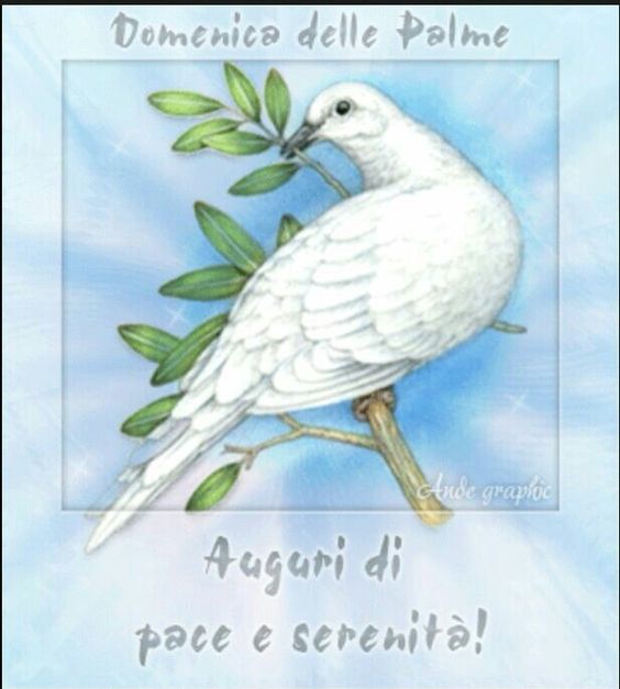 Domenica delle Palme...Auguri di pace e serenità