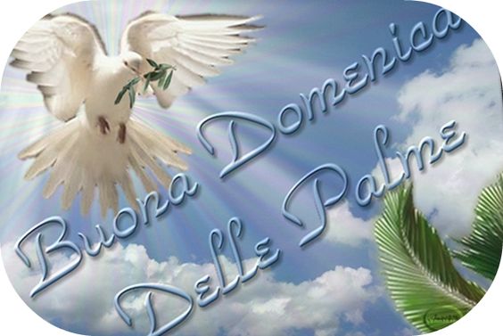 Buona Domenica delle Palme