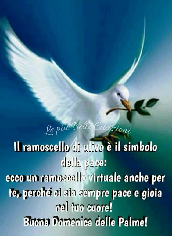 Il ramoscello di ulivo è il simbolo della pace: ecco un ramoscello virtuale anche per te, perchè ci sia sempre pace e gioia nel tuo cuore! Buona Domenica delle Palme