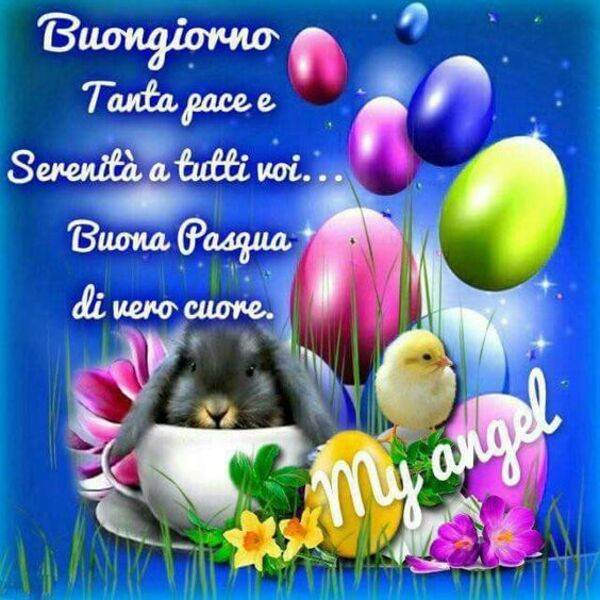 Buongiorno tanta pace e serenità a tutti voi...Buona Pasqua di vero cuore