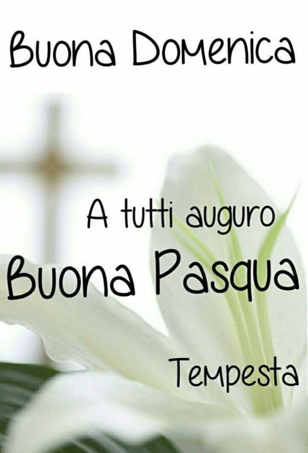 Buona Domenica a tutti auguro Buona Pasqua