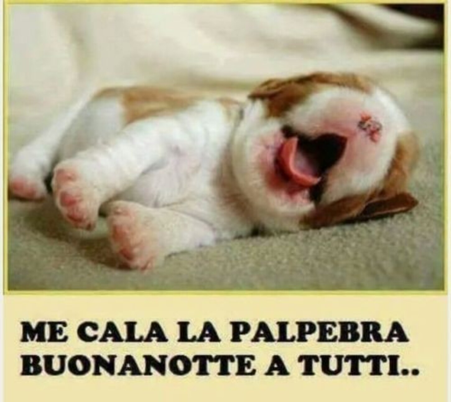 Me cala la palpebra Buonanotte a tutti..