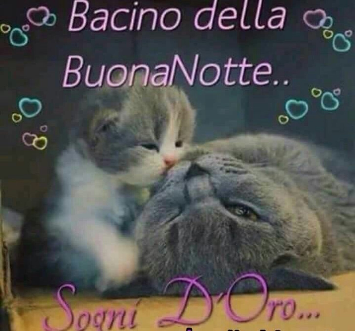 Bacino della Buona Notte...Sogni d'oro