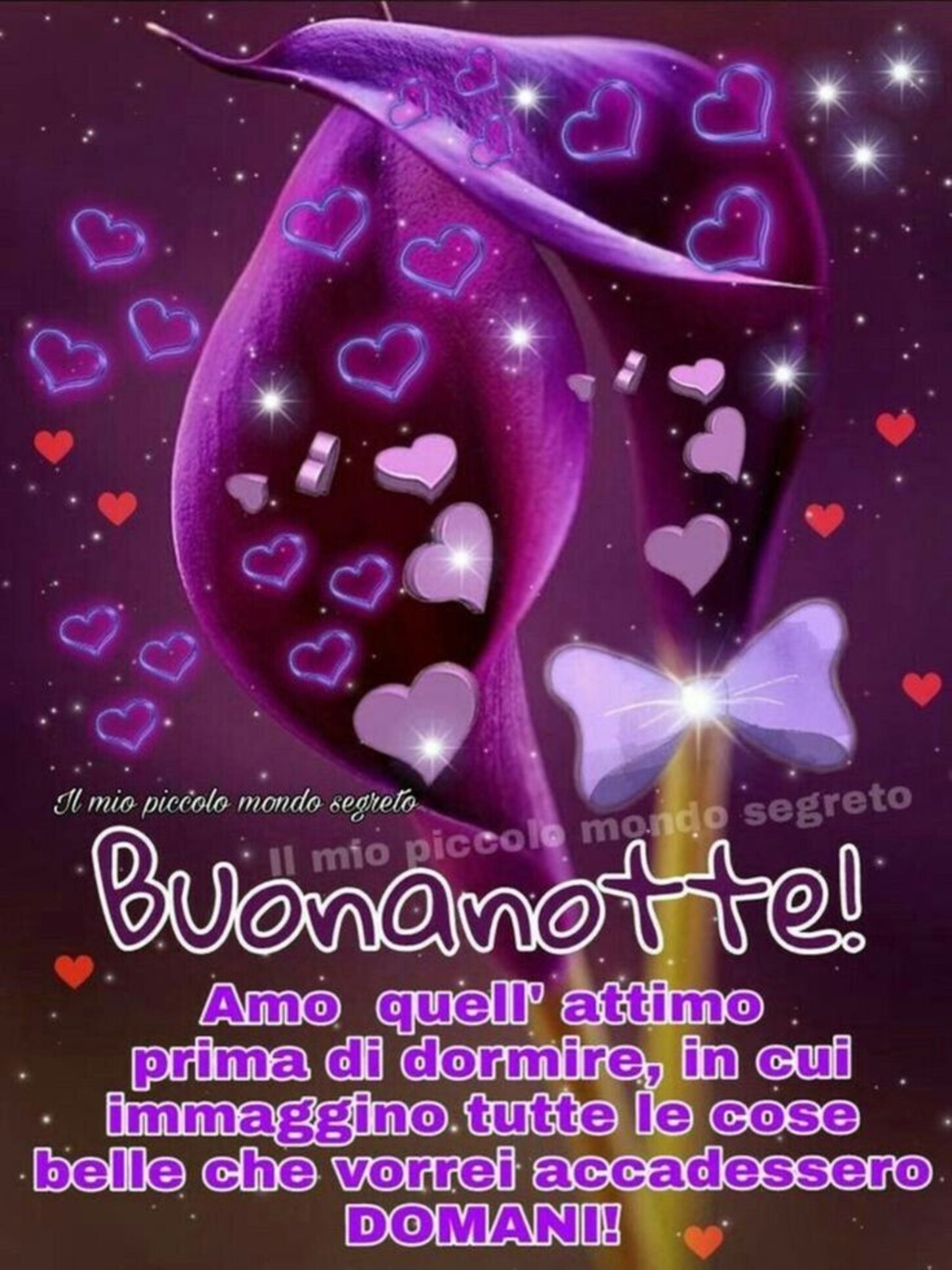 Buonanotte amo quell'attimo prima di dormire, in cui immagino tutte le cose belle che vorrei accadessero domani!