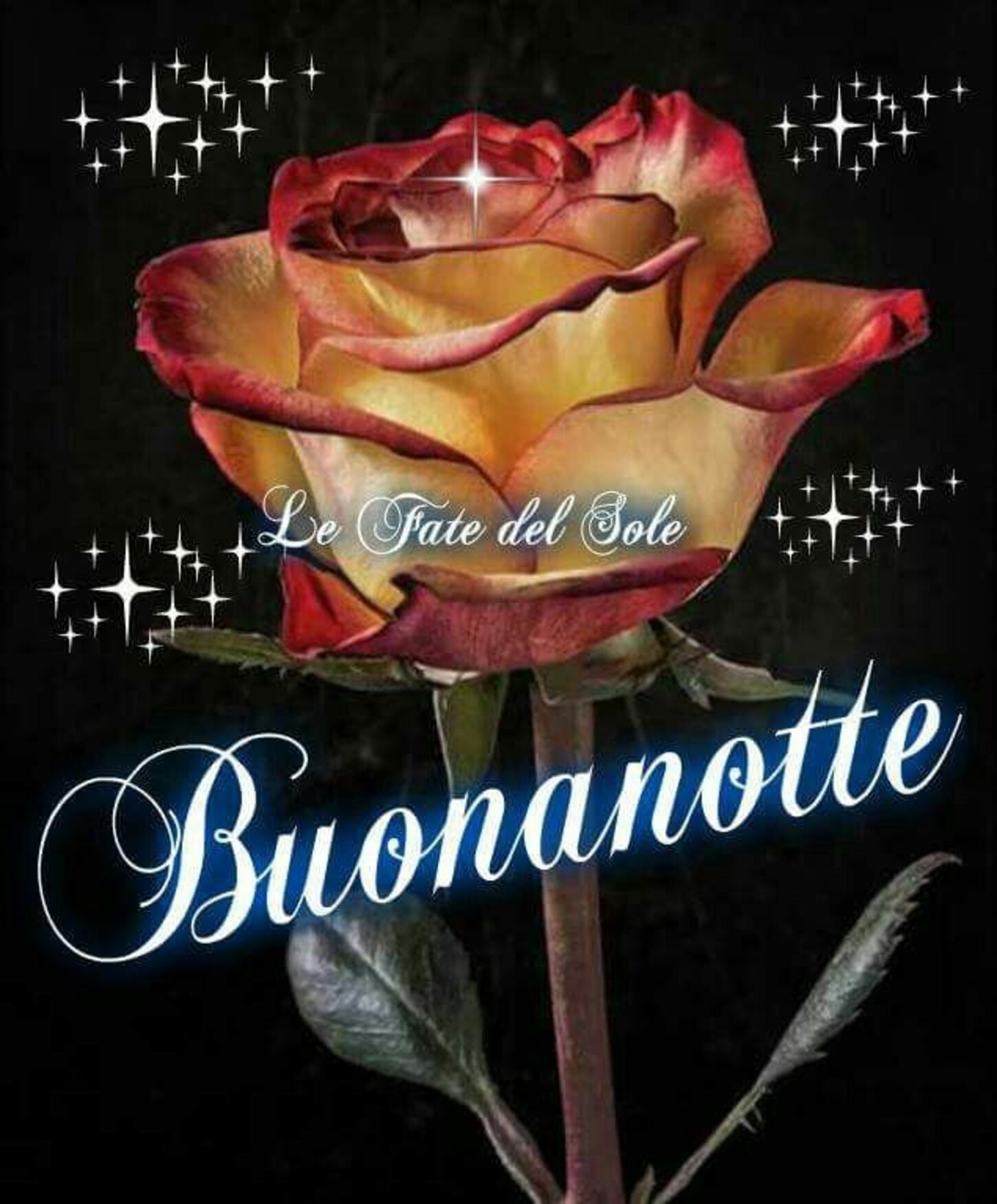 Buonanotte 