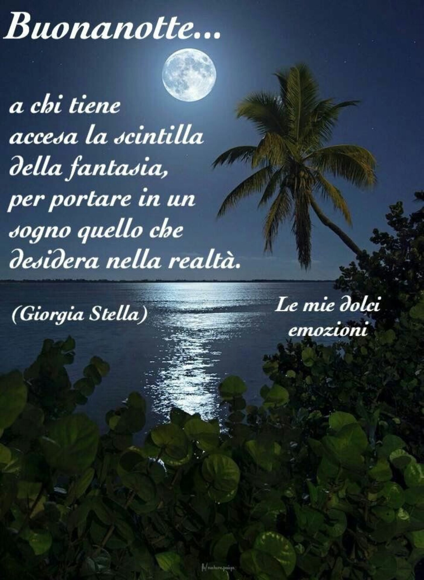 Buonanotte a chi tiene accesa la scintilla della fantasia, per portare in un sogno quello che desidera nella realtà