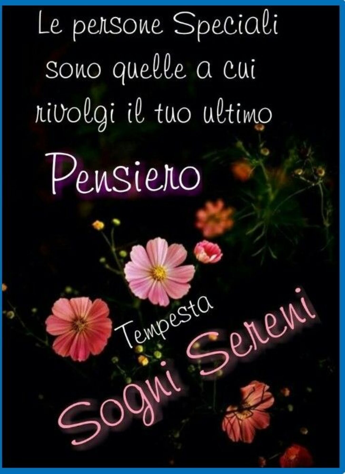 Le persone speciali sono quelle a cui rivolgi il tuo ultimo pensiero Sogni Sereni