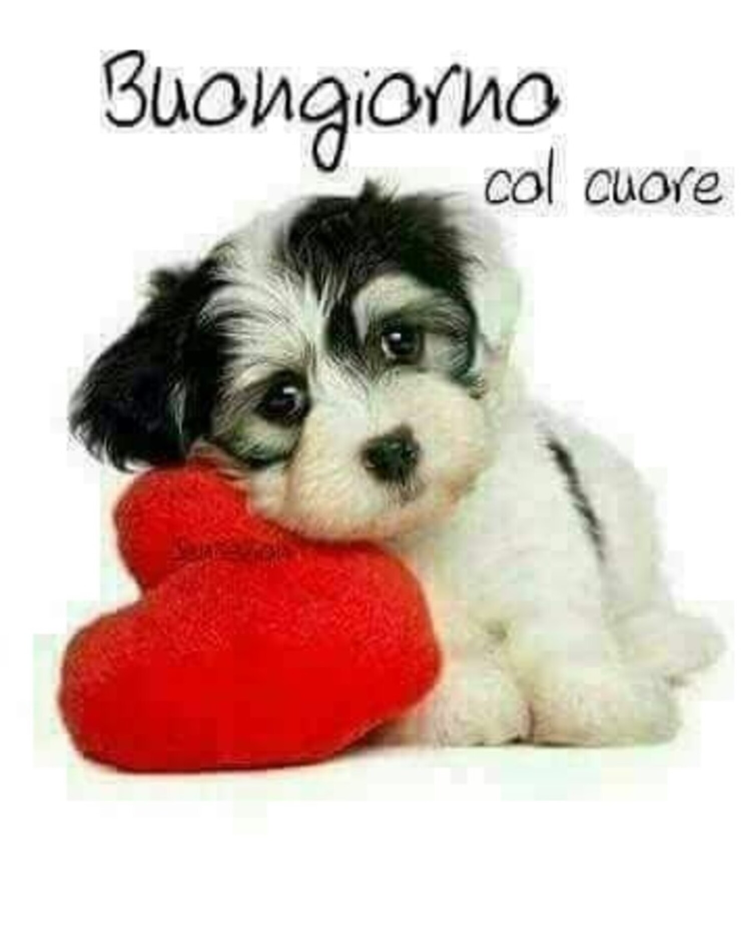 Buongiorno col cuore