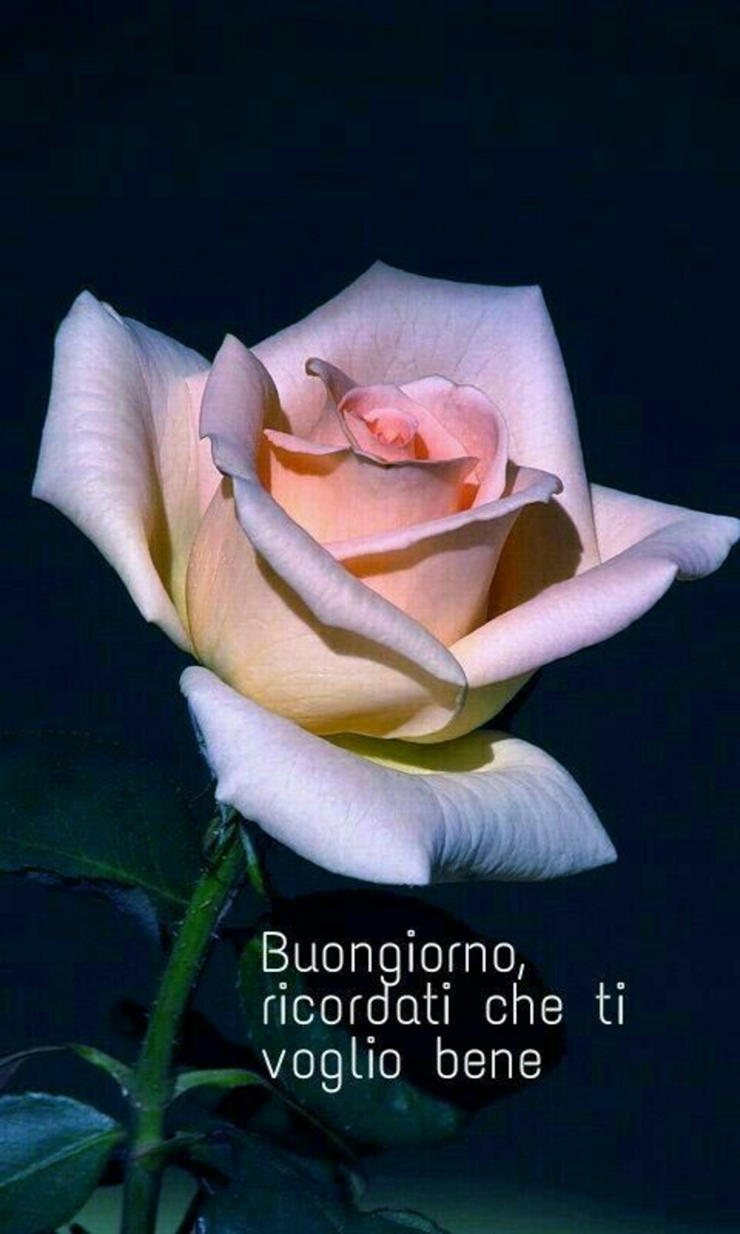 Buongiorno, ricordati che ti voglio bene 
