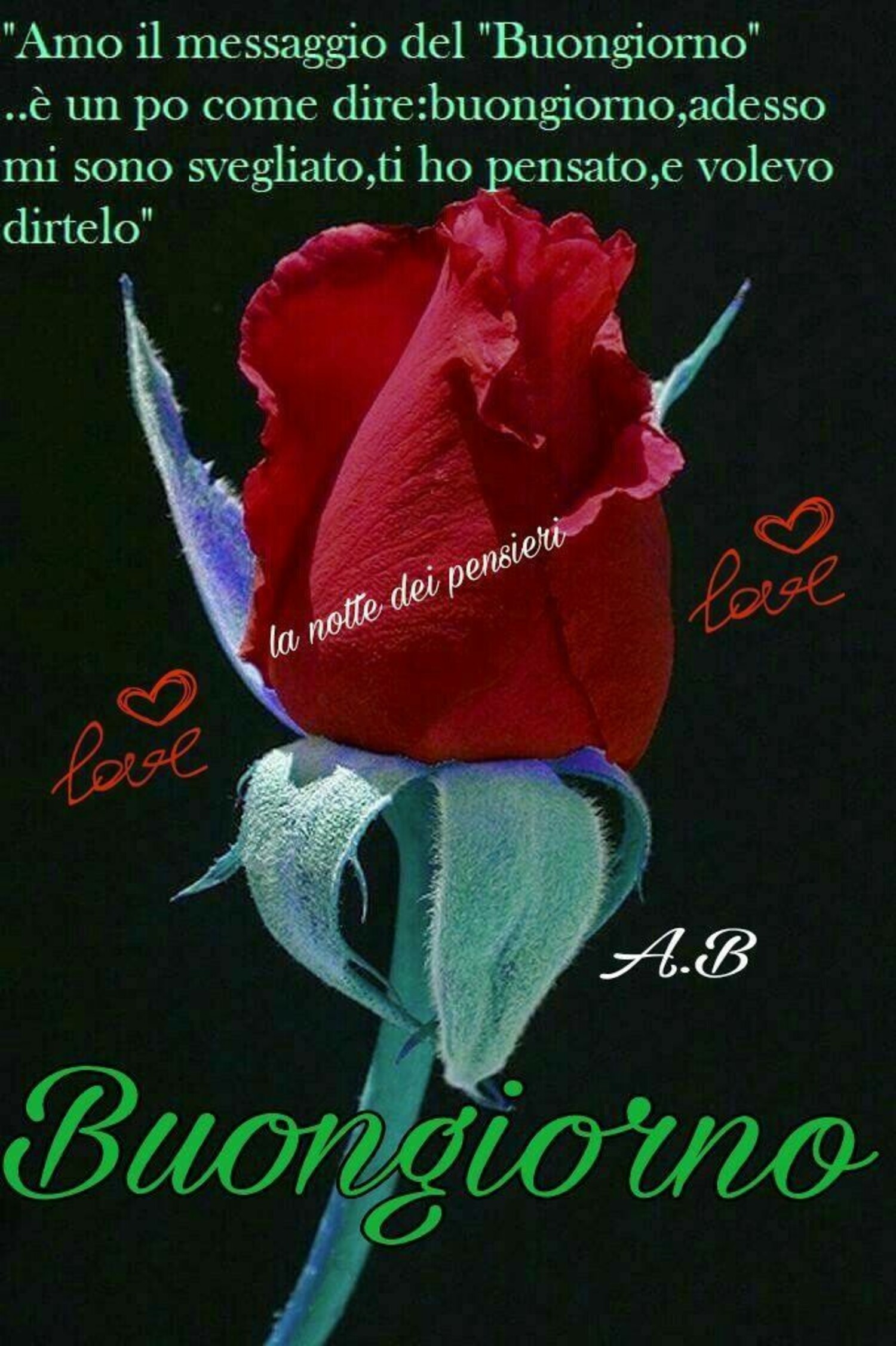 Buongiorno con la rosa