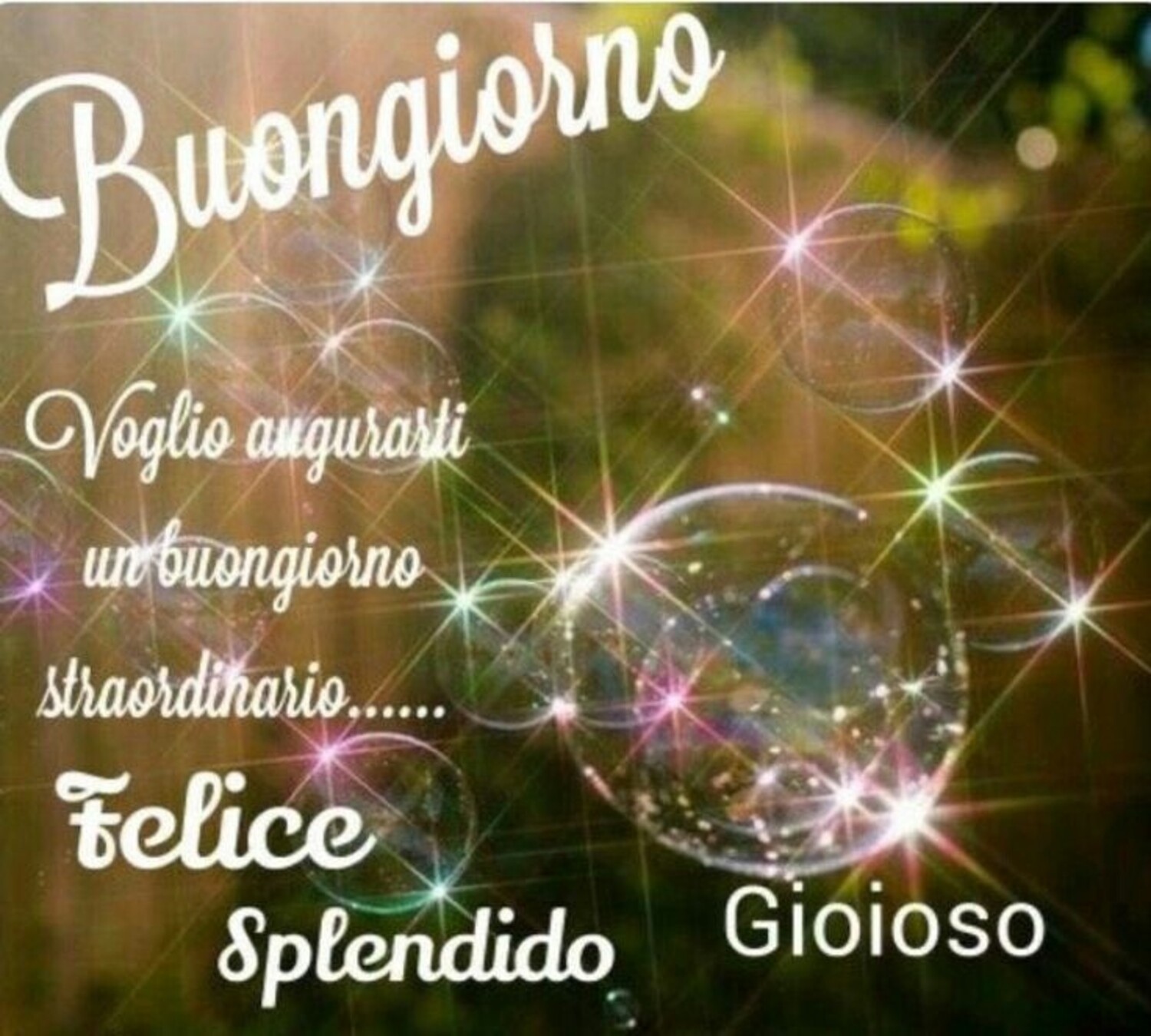 Buongiorno voglio augurarti un buongiorno straordinario...Felice splendido gioioso