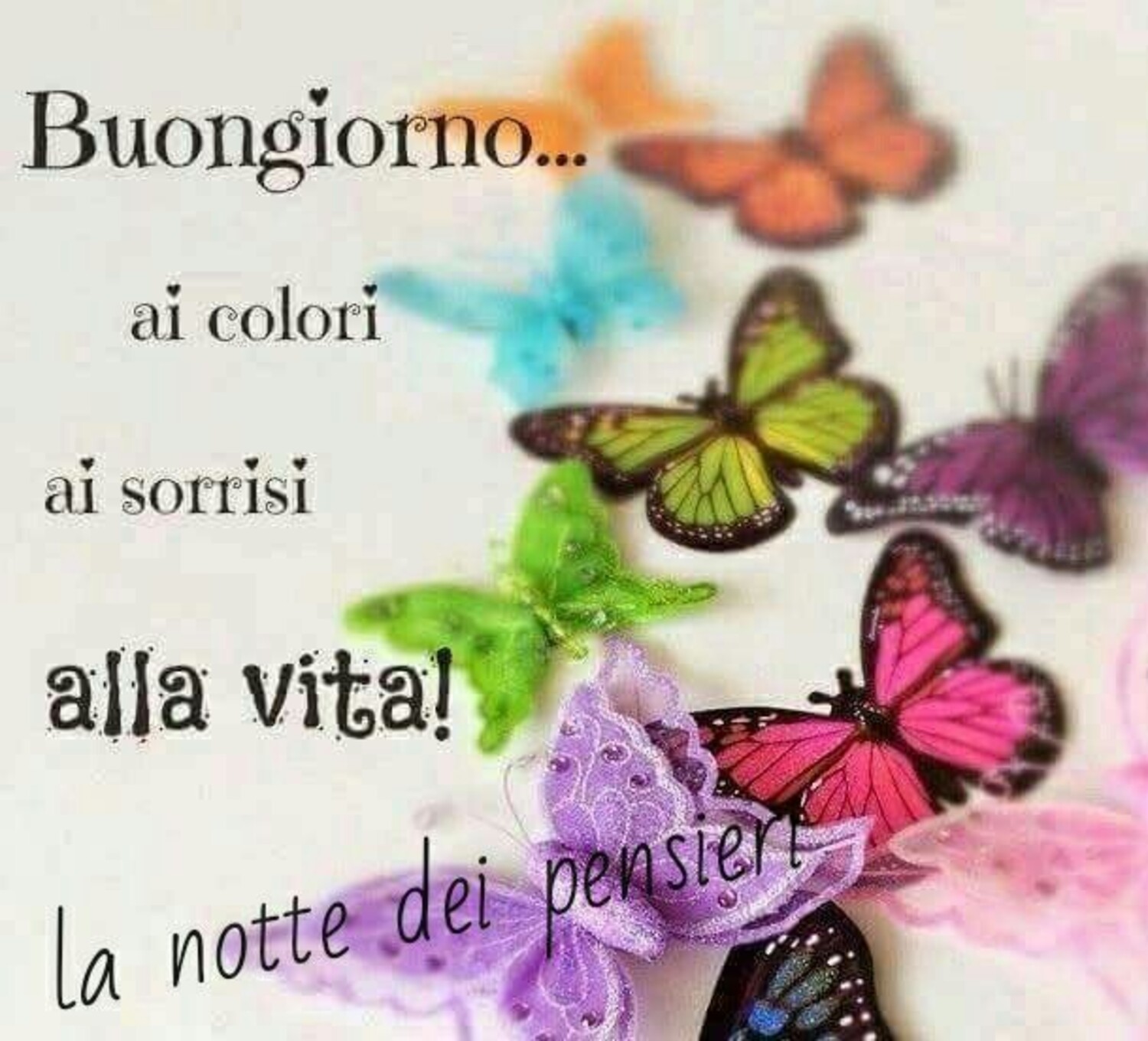 Buongiorno..ai colori, ai sorrisi, alla vita!