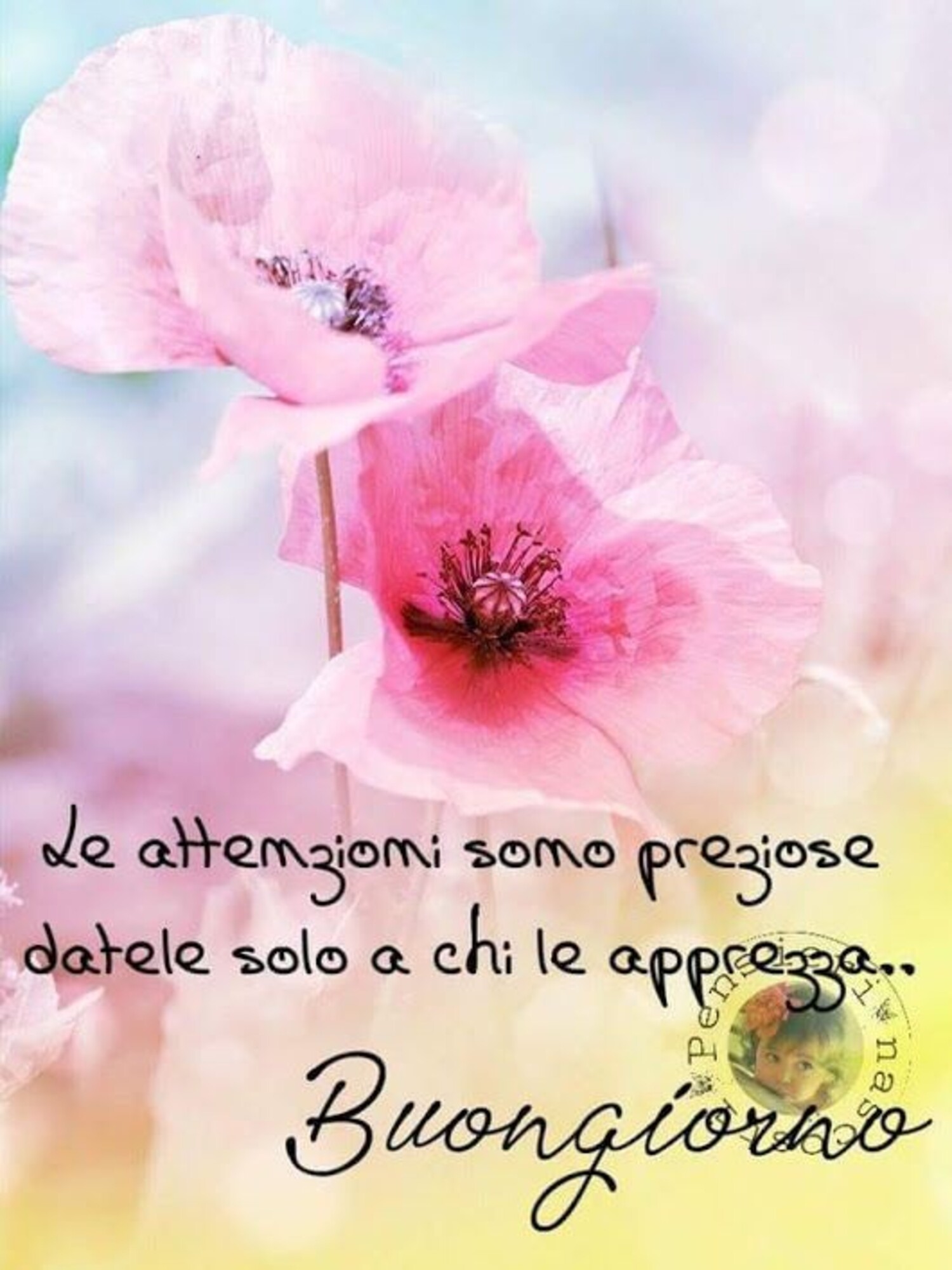 Le attenzioni sono preziose datele solo a chi le apprezza...buongiorno