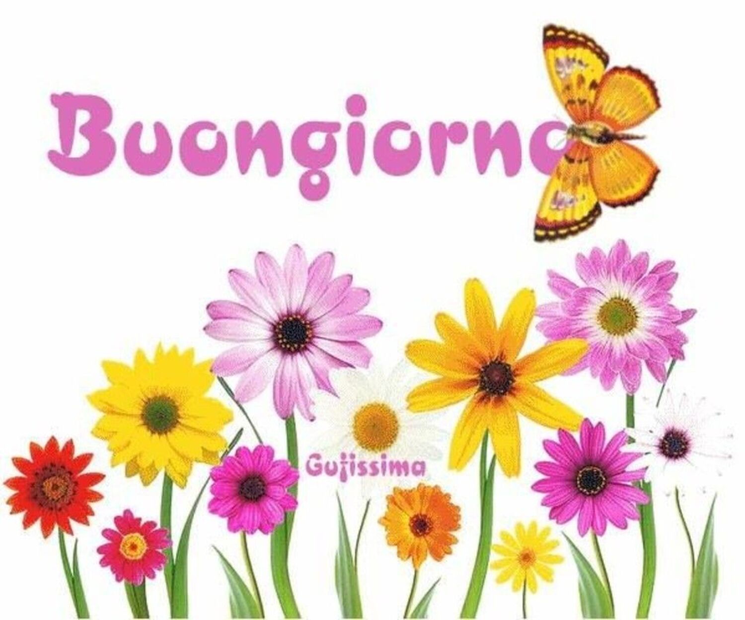 Buongiorno