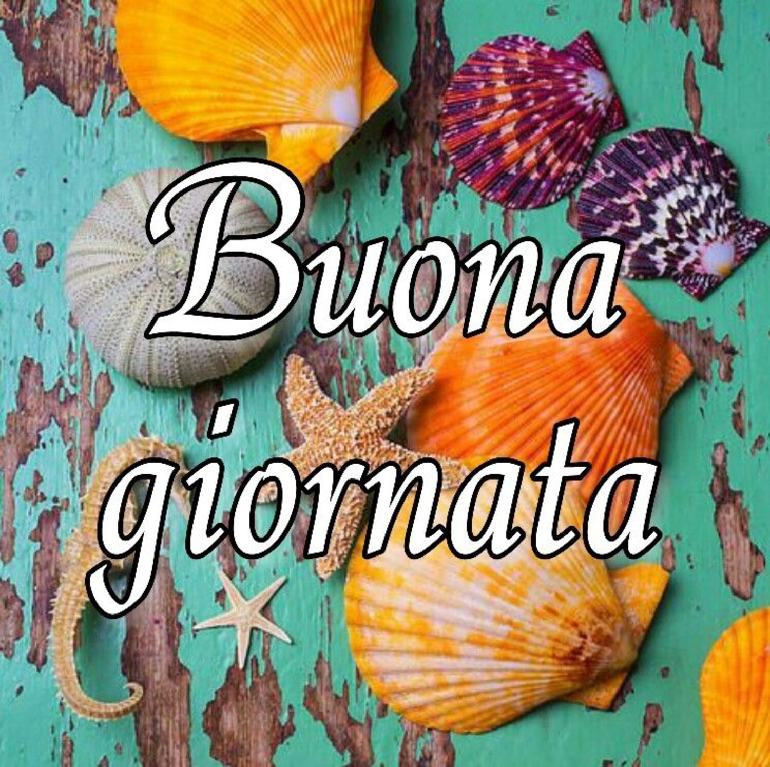 Buona giornata