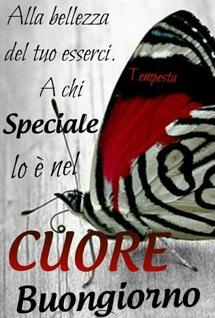 Alla bellezza del tuo esserci. A chi speciale lo è nel cuore. Buongiorno