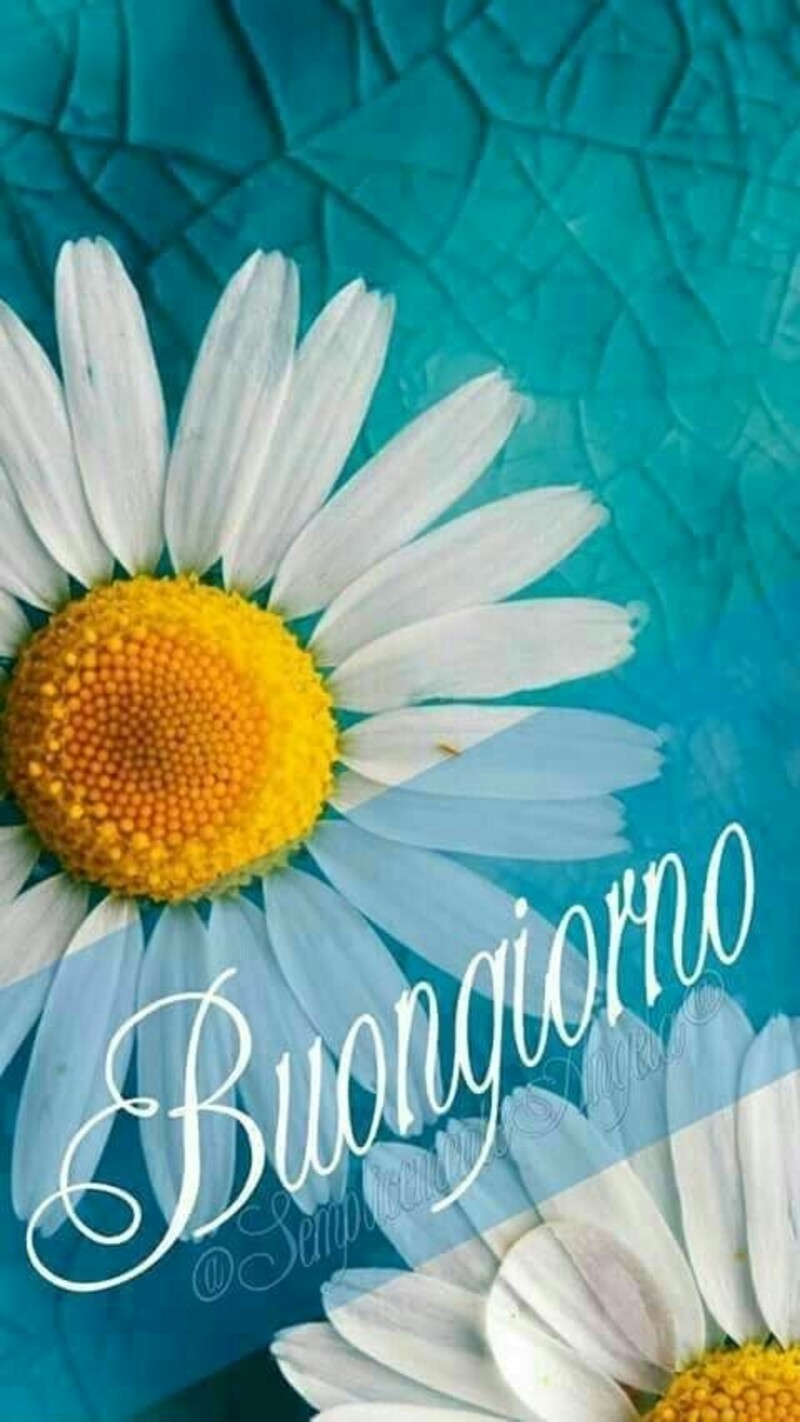 Buongiorno con i fiori