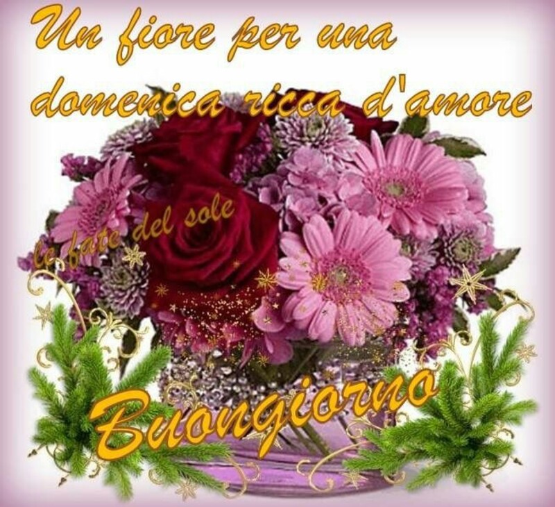 45 Buongiorno Con I Fiori Immagini Da Mandare Pagina 2 Di 5 Lebelleimmagini It