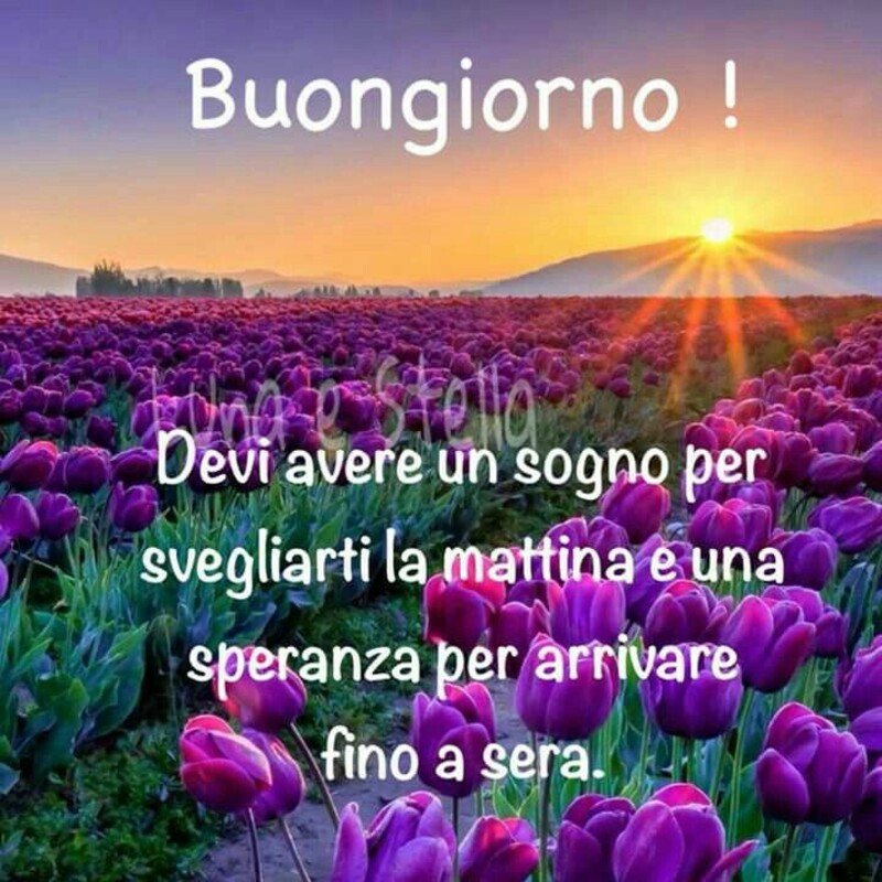 Buongiorno! Devi avere un sogno per svegliarti la mattina e una speranza per arrivare fino a sera.