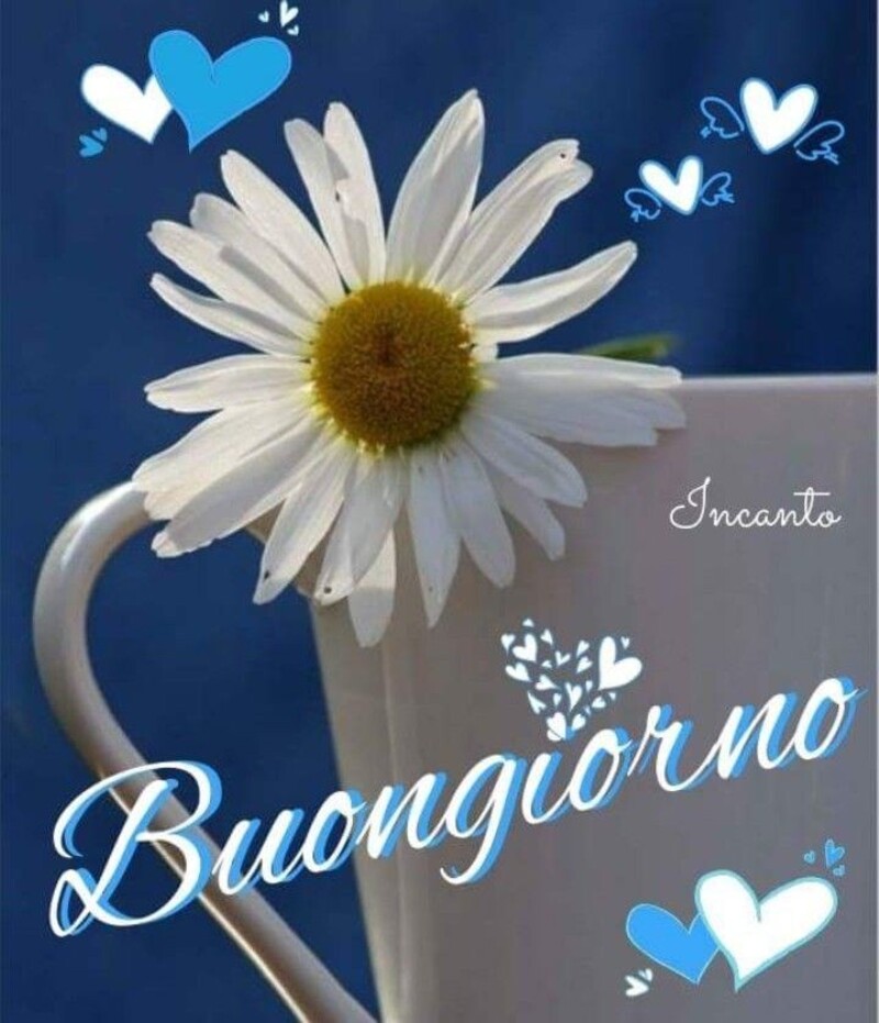 Buongiorno