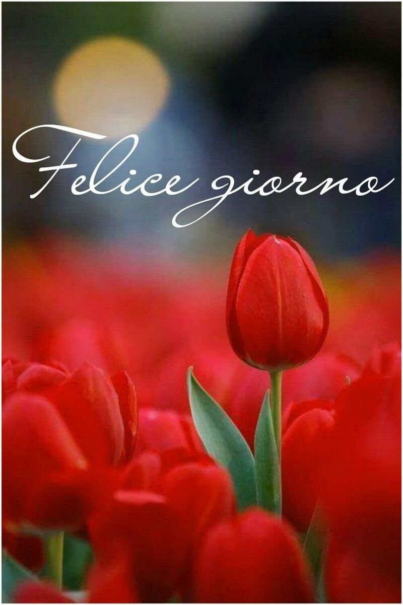 Felice Giorno