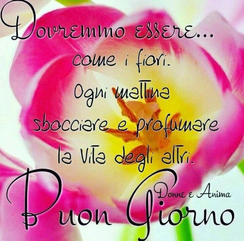 Dovremmo essere...come fiori. Ogni mattina sbocciare e profumare la vita degli altri. Buon Giorno