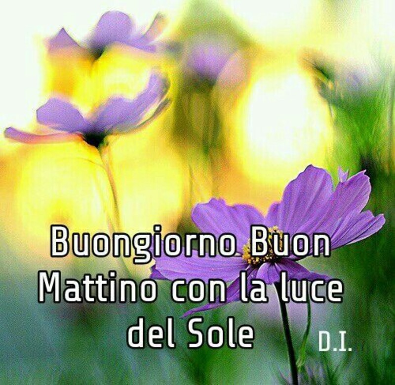 Buongiorno. Buon Mattino con la luce del Sole