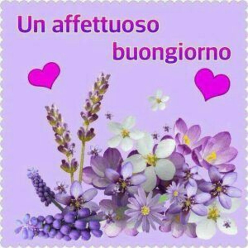 Un affettuoso buongiorno