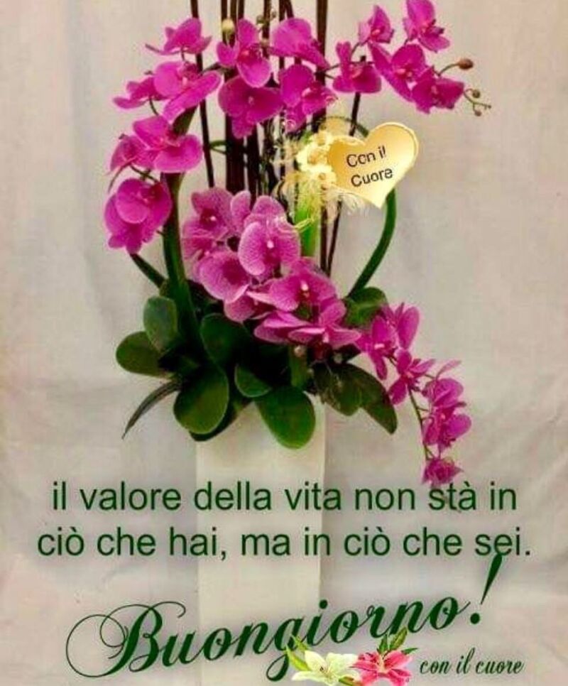 Il valore della vita non sta in ciò che hai, ma in ciò che sei. Buongiorno!