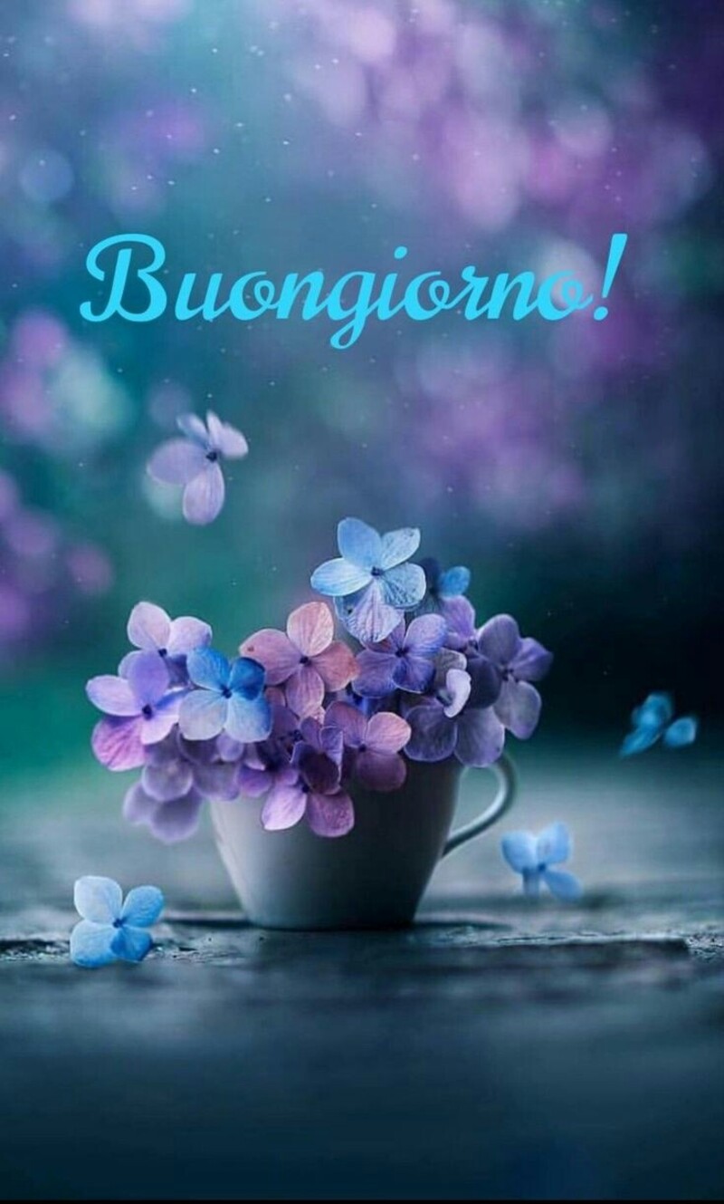 Buongiorno!