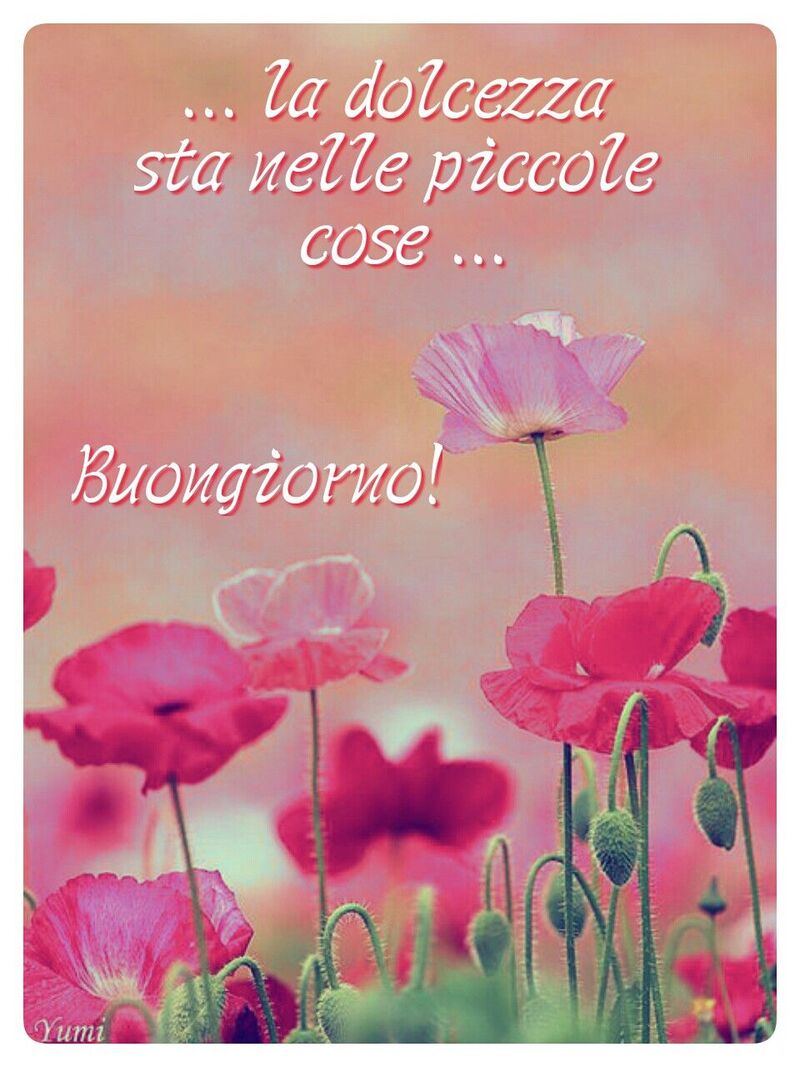 La dolcezza sta nelle piccole cose...buongiorno