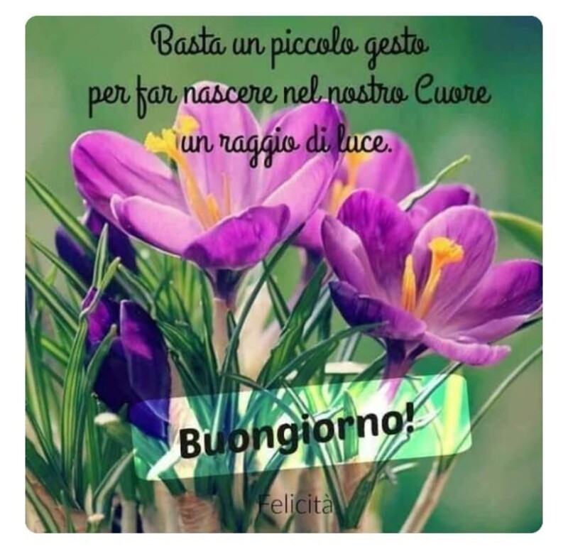 Basta un piccolo gesto per far nascere nel nostro cuore un raggio di luce! Buongiorno