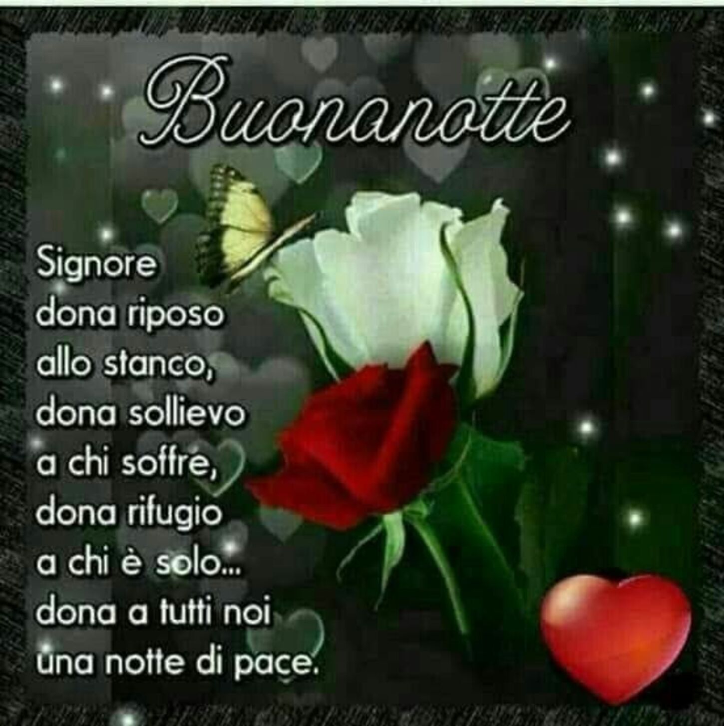 Buonanotte. Signore dona riposo allo stanco, dona sollievo a chi soffre, dona rifugio a chi è solo... Dona a tutti noi una notte di pace.