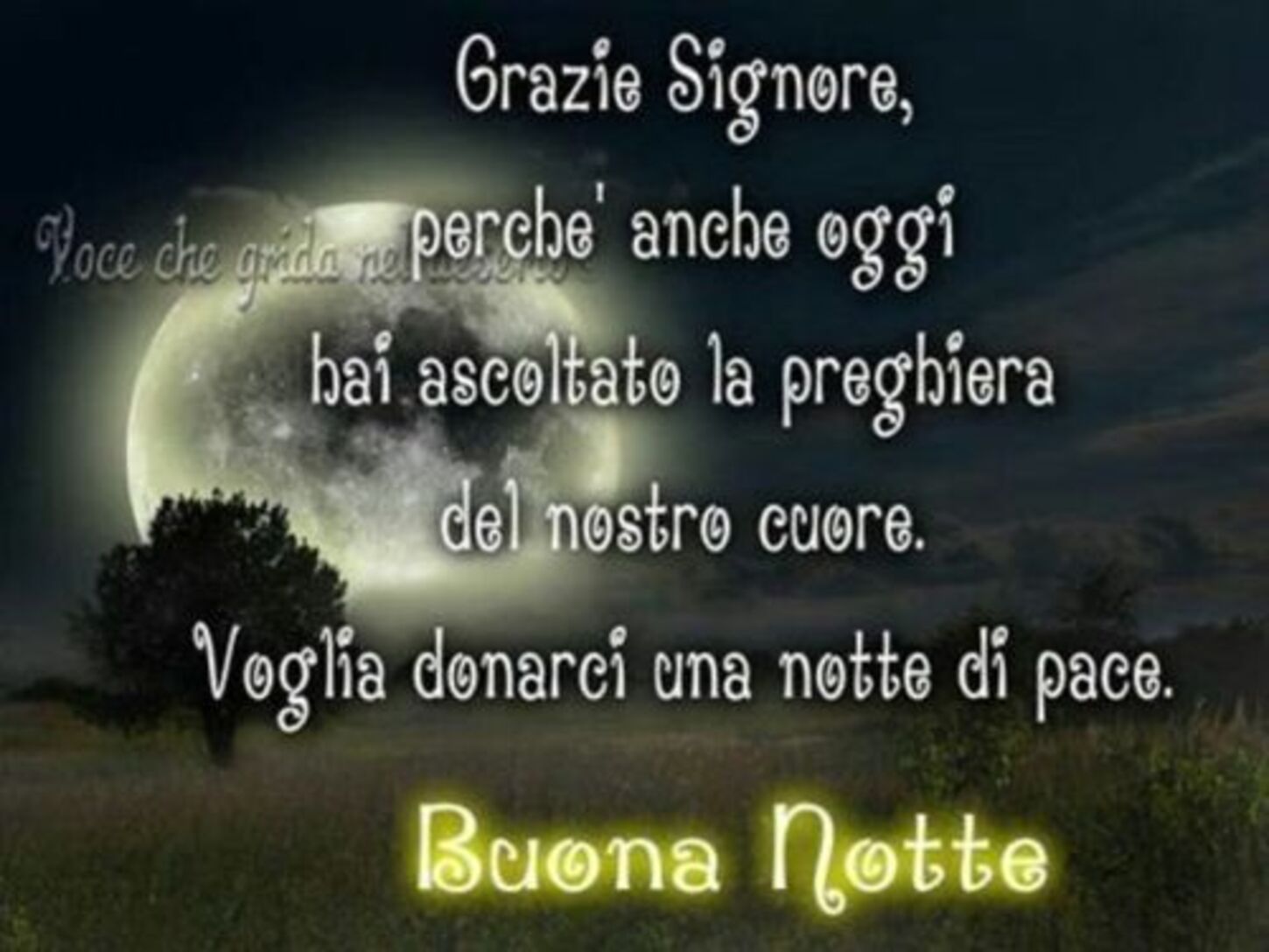 Buonanotte 40 Immagini Per Facebook Pagina 2 Di 4 Lebelleimmagini It