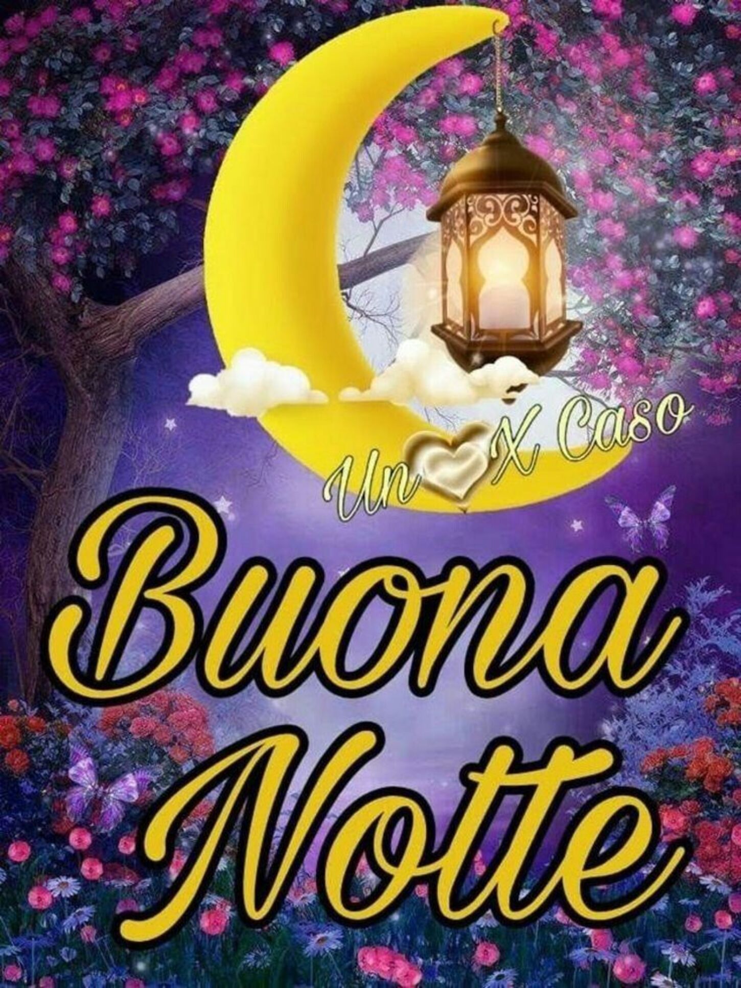 Buona Notte