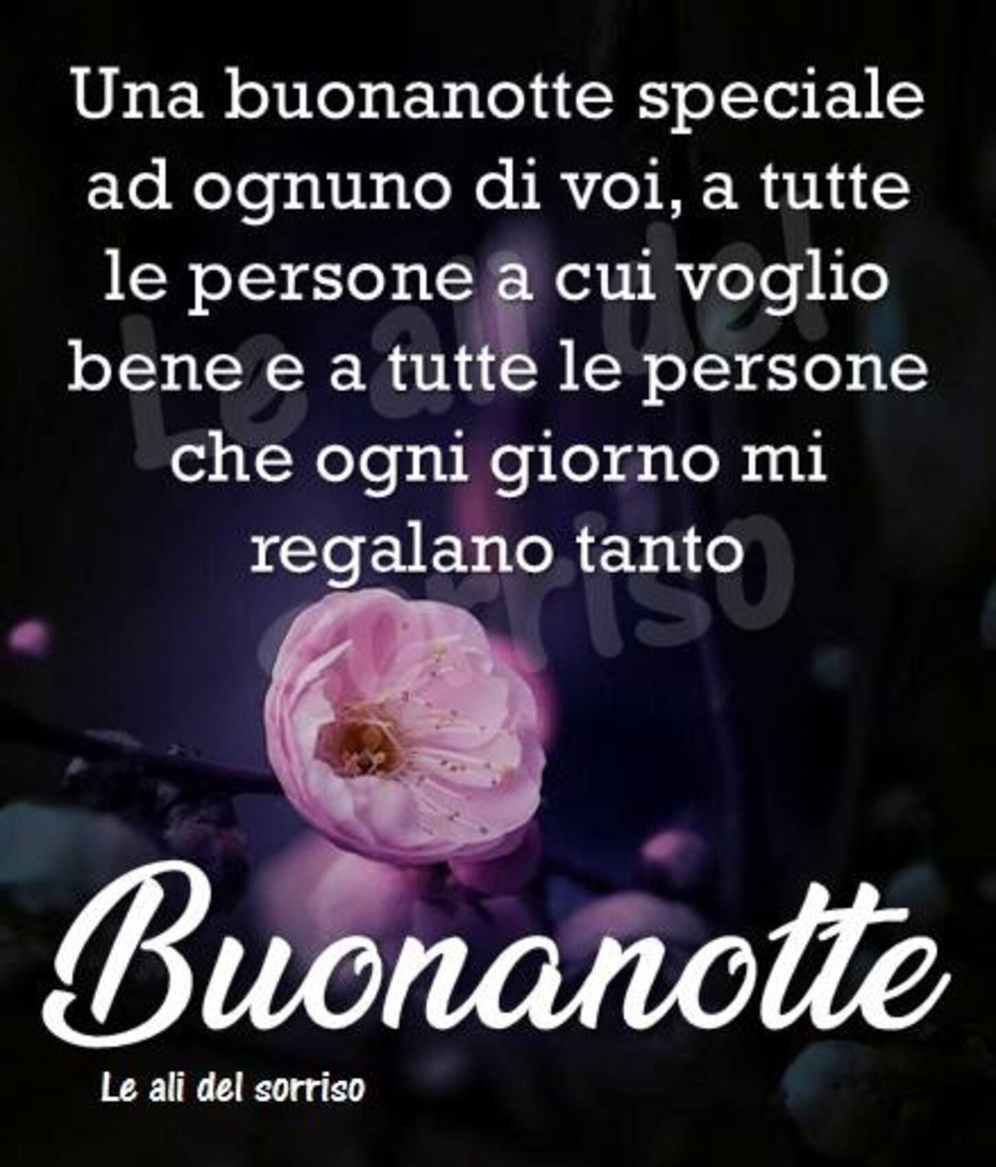 Una buonanotte speciale ad ognuno di voi, a tutte le persone a cui voglio bene e a tutte le persone che ogni giorno regalano tanto Buonanotte