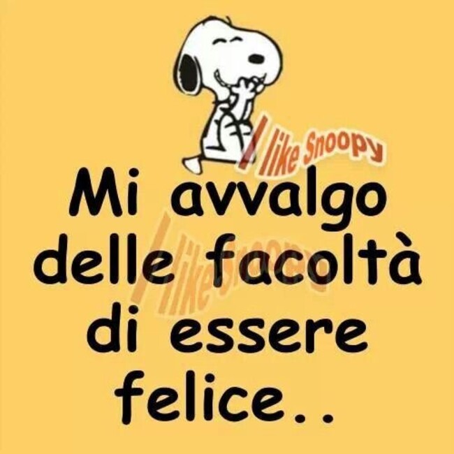 "Mi avvalgo delle facoltà di essere felice..." - Snoopy