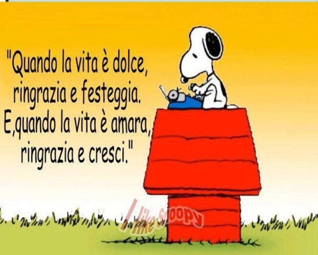 "Quando la vita è dolce, ringrazia e festeggia. E, quando la vita è amara, ringrazia e cresci"