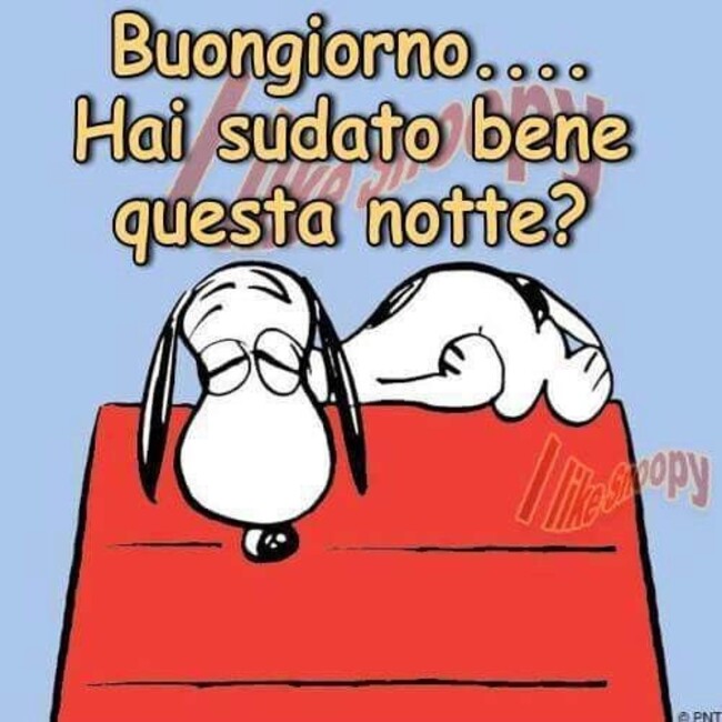 Buongiorno...hai sudato bene questa notte? 