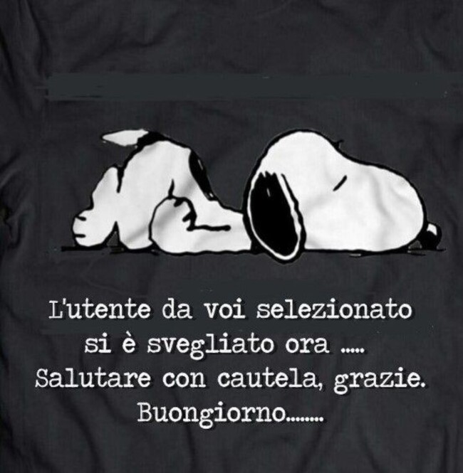 L'utente da voi selezionato si è svegliato ora...Salutare con cautela, grazie. Buongiorno...