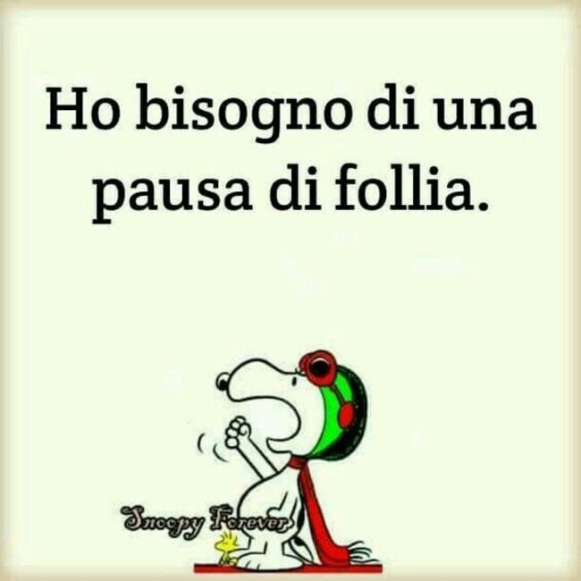 Ho bisogno di una pausa di follia