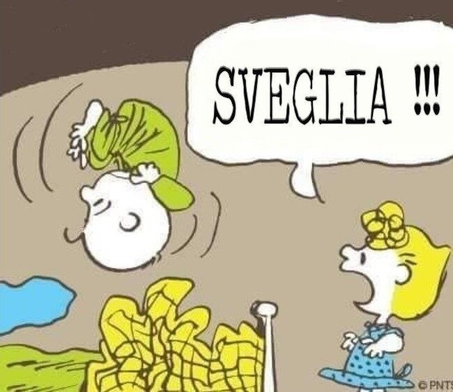 Sveglia!!!