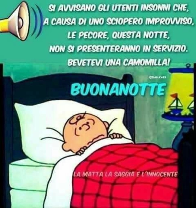 Si avvisano gli utenti insonni che,  a causa di uno sciopero improvviso, le pecore, questa notte, non si presenteranno in servizio. Bevetevi una camomilla...Buonanotte