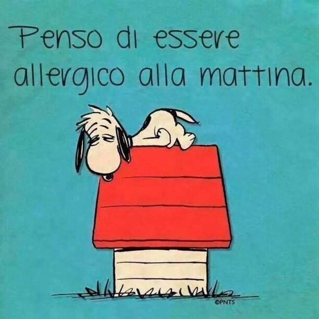 Penso di essere allergico alla mattina