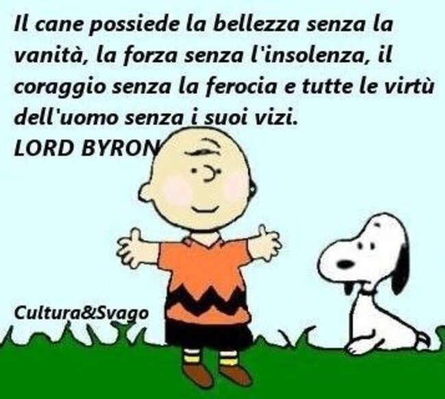 Il cane possiede la bellezza senza la vanità, la forza senza l'insolenza, il coraggio senza la ferocia e tutte le virtù dell'uomo senza i suoi vizi