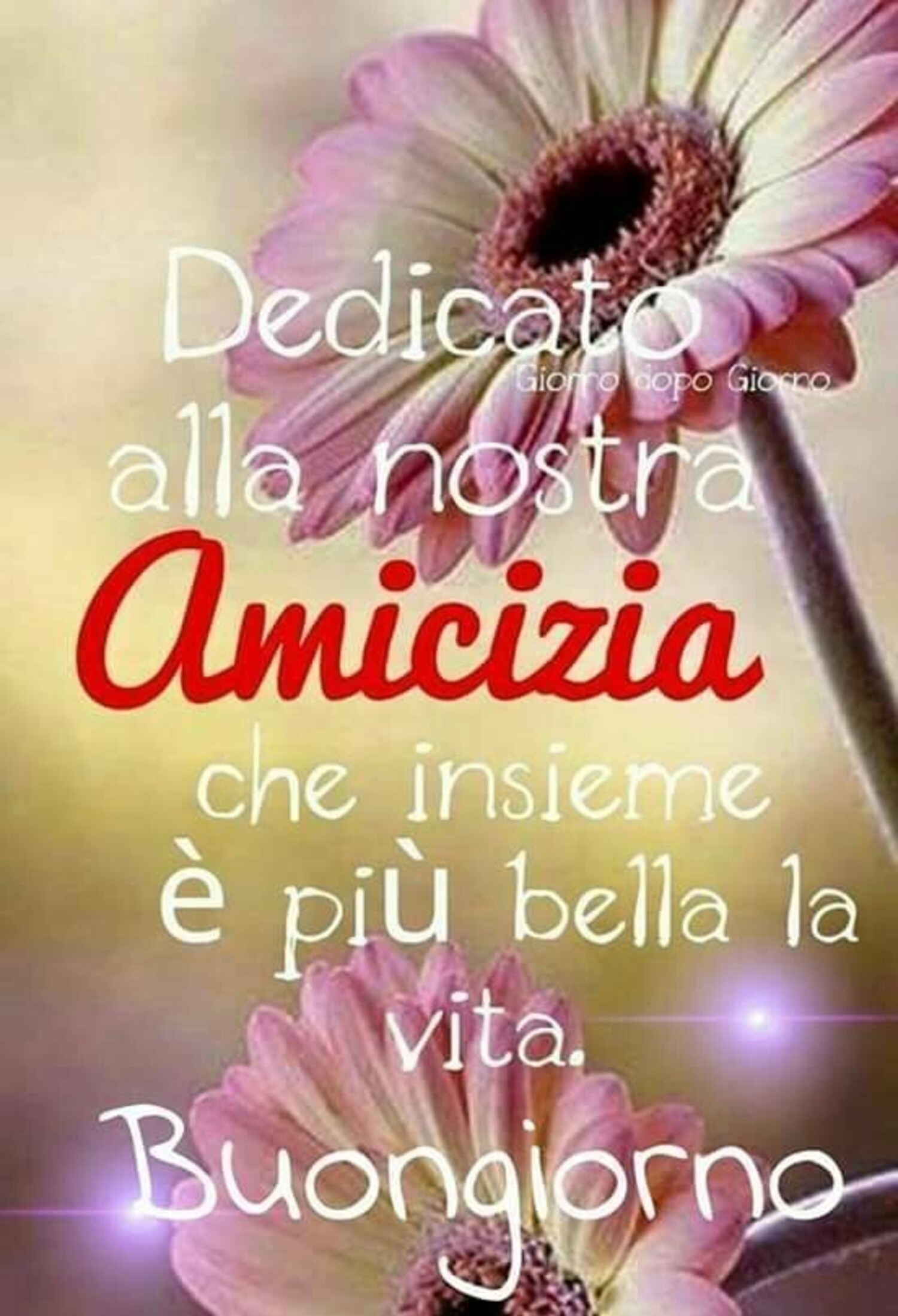 Dedicato alla nostra amicizia che insieme è più bella la vita. Buongiorno