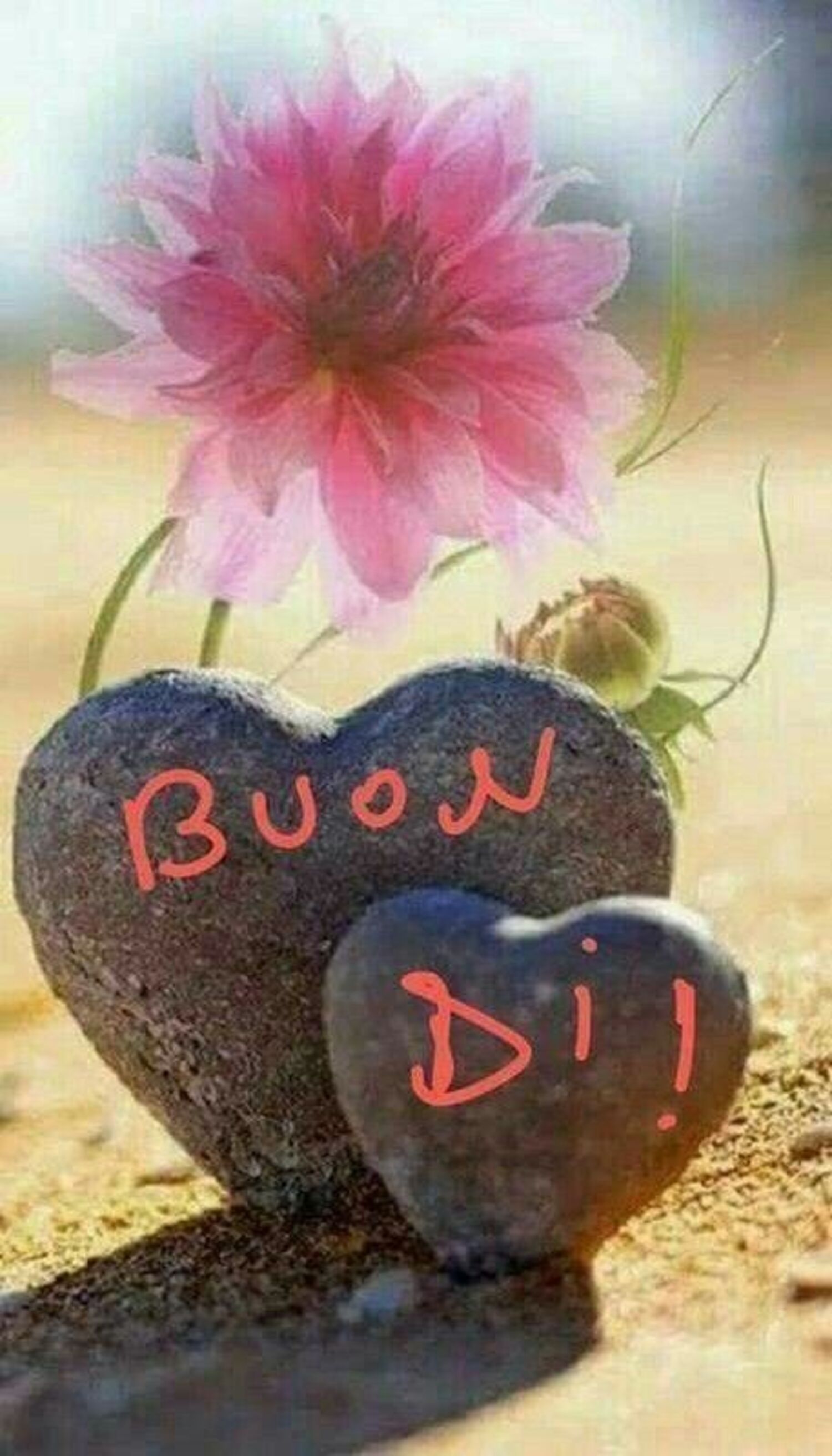 Buon dì